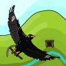 Hill Myna